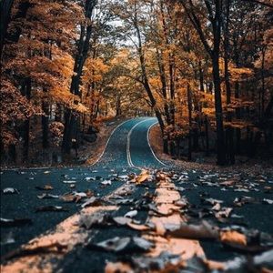 Meet your Posher, Britney